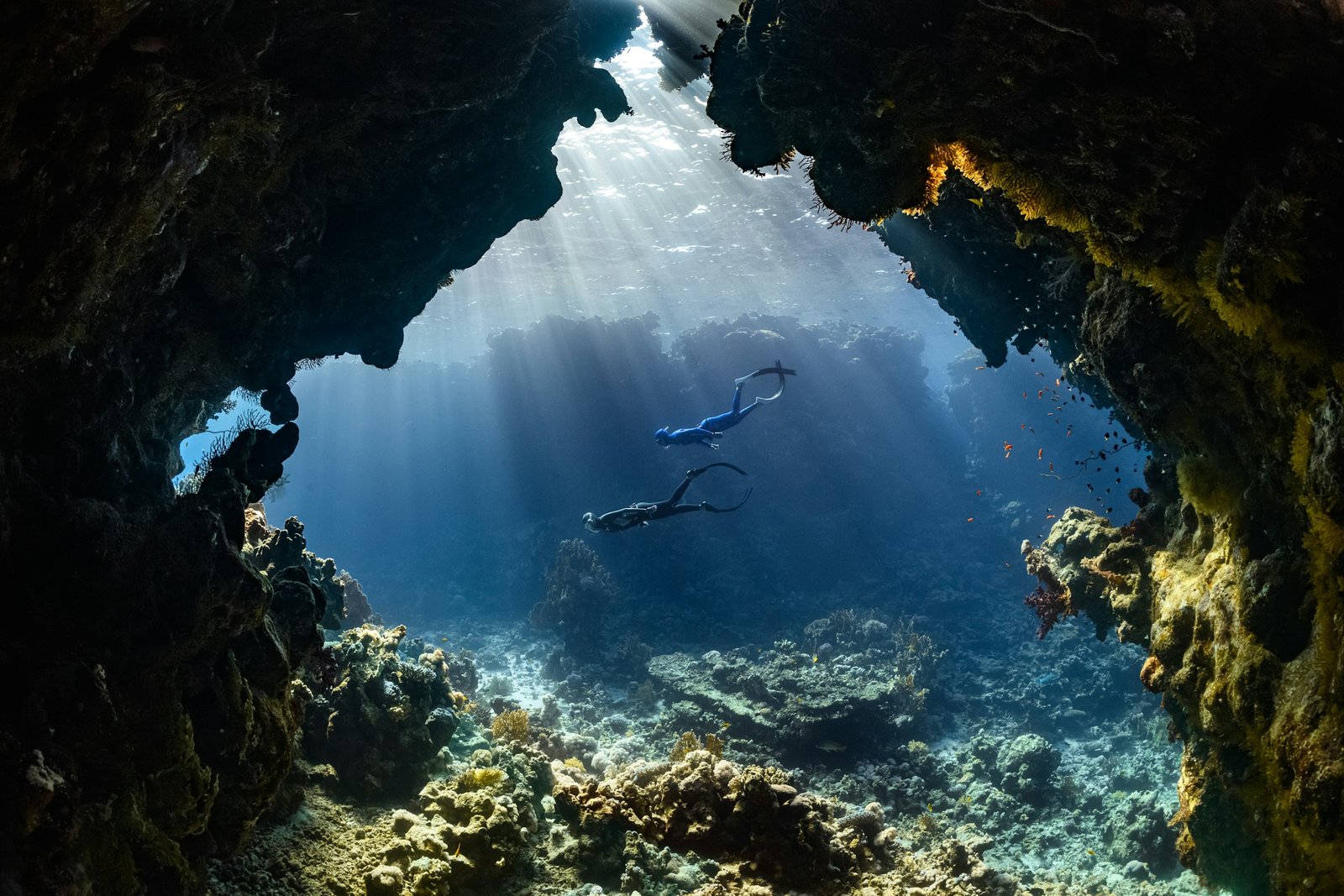 Plongeur dans les eaux bleues